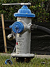 photo by Vince LoPresti